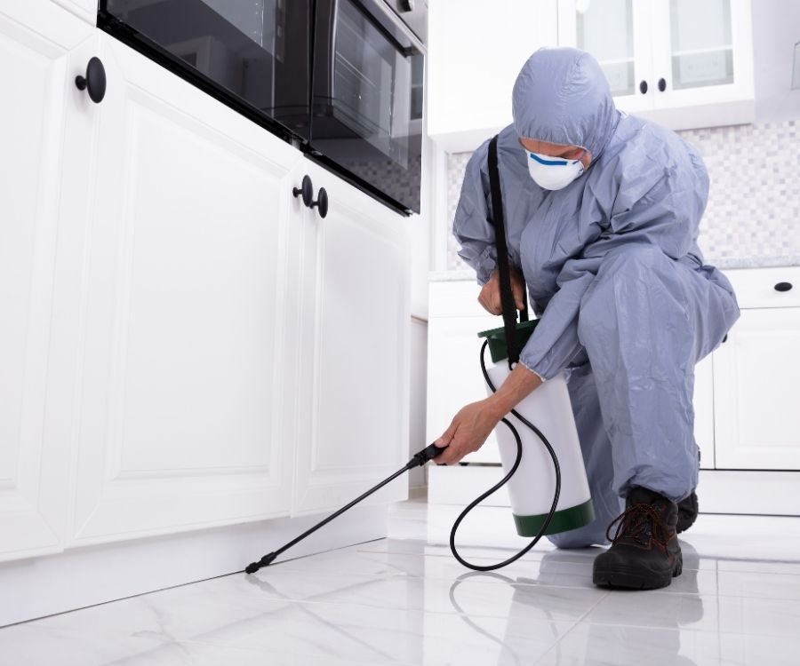 pest control